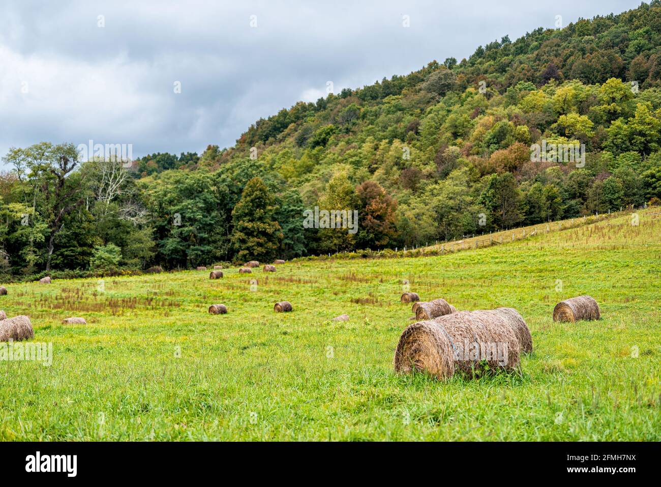 Balle di fieno su campo di campagna nella campagna della Virginia occidentale Vicino a Dolly sods con prati verdi di terreni agricoli e colline ondulate montagne Foto Stock