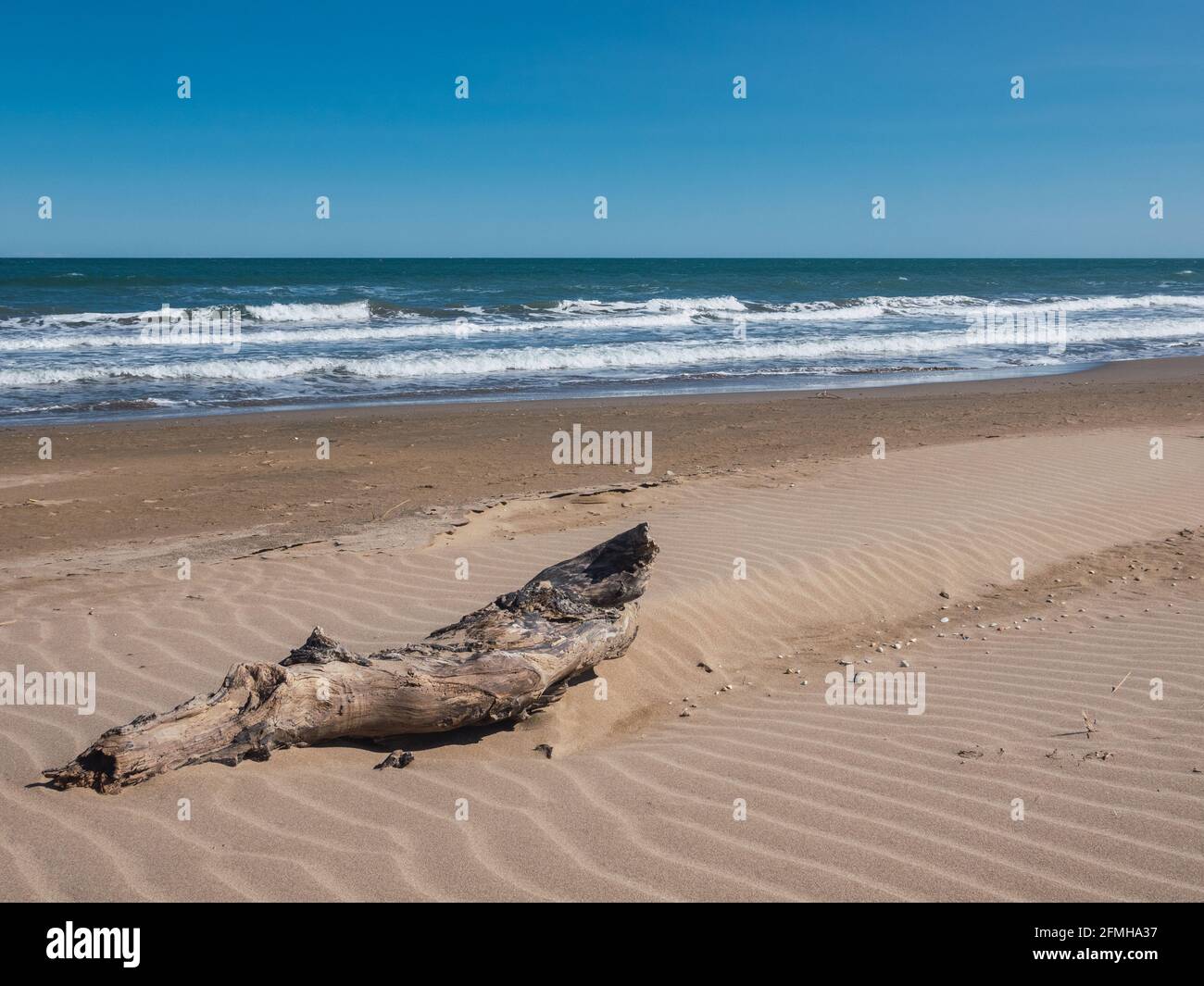 Tronchi di legno di fronte ad una spiaggia deserta con il mare blu. Concetto di spiaggia naturale. Foto Stock