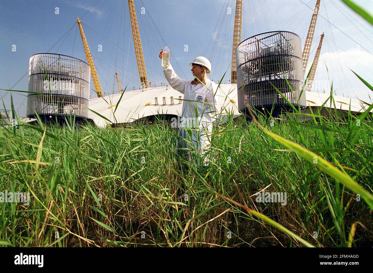 Sarah Ford Thames Water Scientist settembre 1999Mostra la tecnologia ambientale naturale al Millennium Dome di Greenwich, a sud di Londra. Le latrine saranno lavate usando acqua piovana prima filtrata attraverso i letti di canna Foto Stock