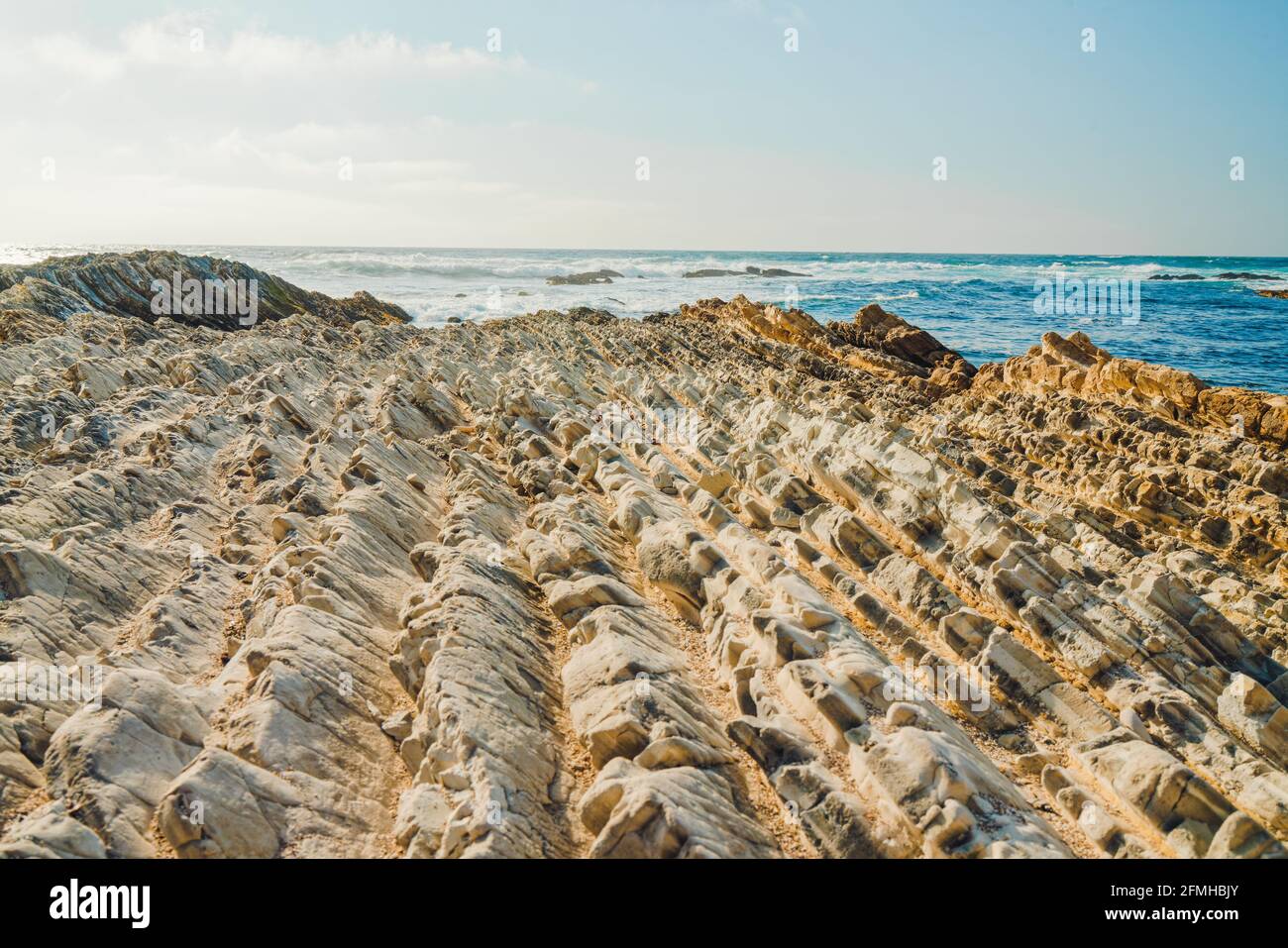 Litorale roccioso al largo dell'oceano Pacifico nel Montana de Oro state Park, California Central Coast Foto Stock