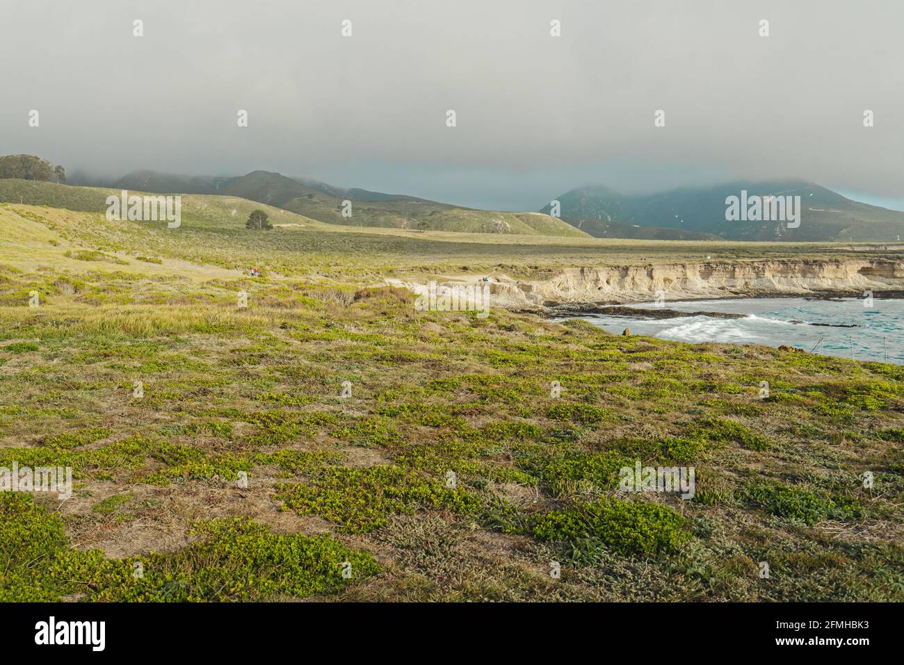 Montana de Oro state Park, California. Scogliere rocciose, verdi colline con piante autoctone e Oceano Pacifico con un bel cielo nuvoloso sullo sfondo Foto Stock