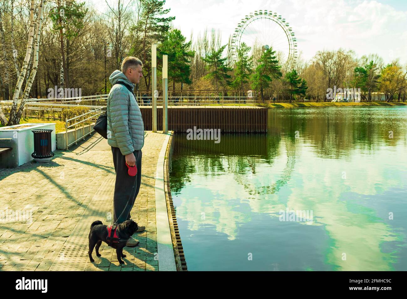 Uomo adulto anziano con guinzaglio nero nero dell'imbragatura rossa del pug In piedi sulla riva del lago in Ferris Wheel Park Foto Stock