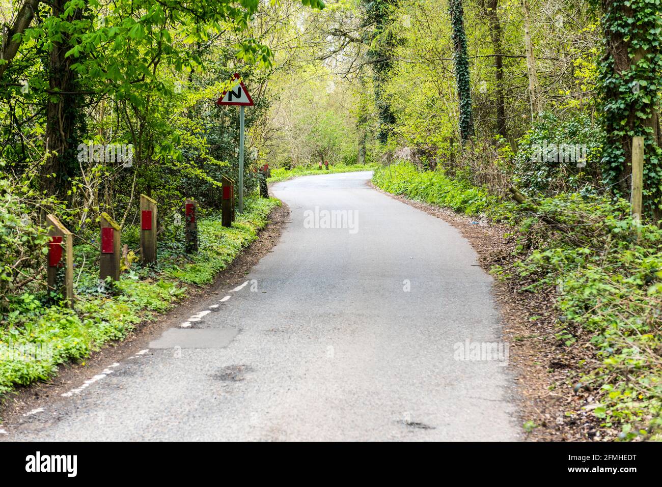 Doppia curva avanti cartello a malapena visibile da una crescita eccessiva di Piante su una strada di campagna in Inghilterra Foto Stock