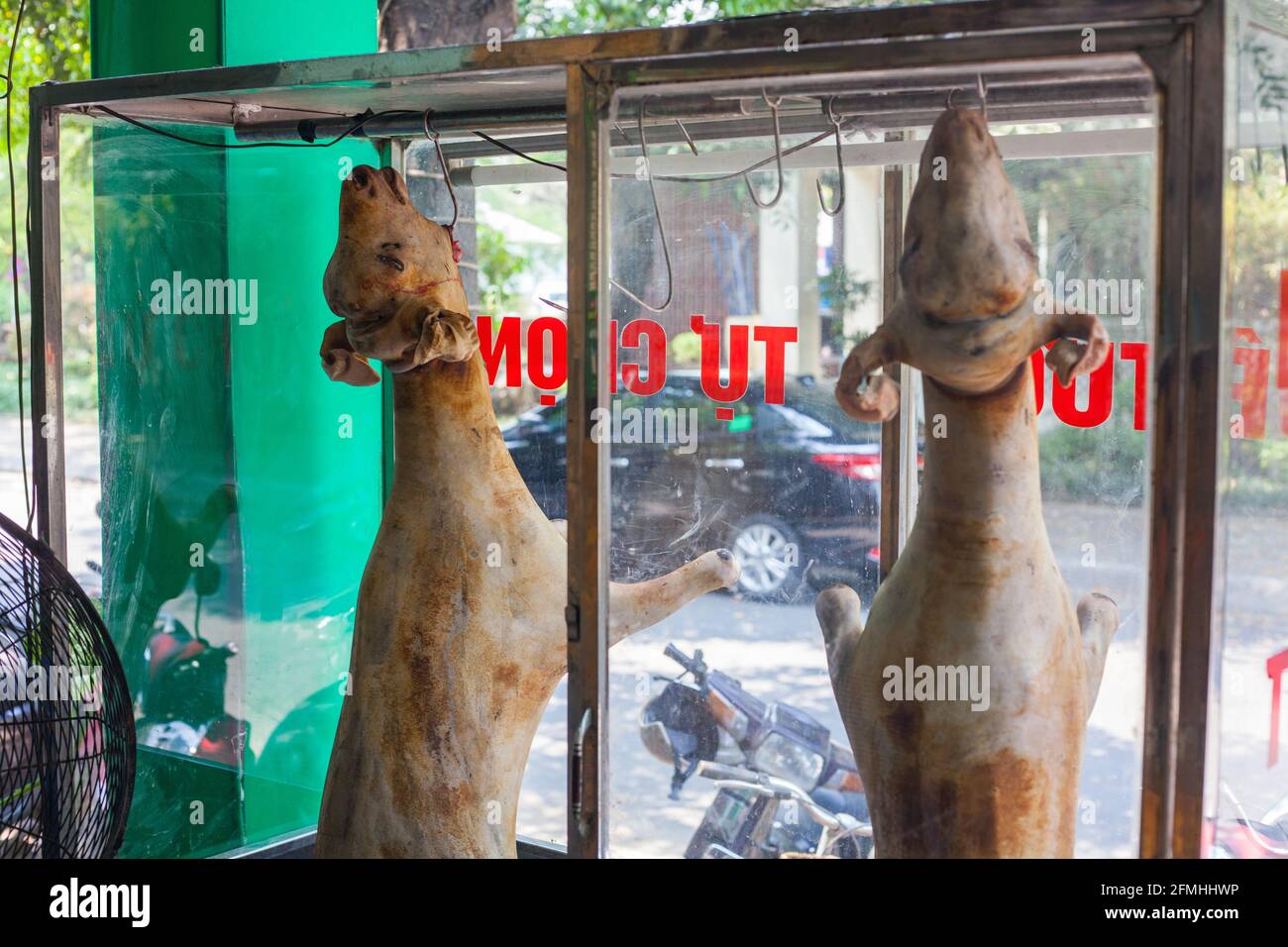 Due capre intere appese al collo in un armadietto di vetro nel ristorante a bordo strada, Hoi An, Vietnam Foto Stock