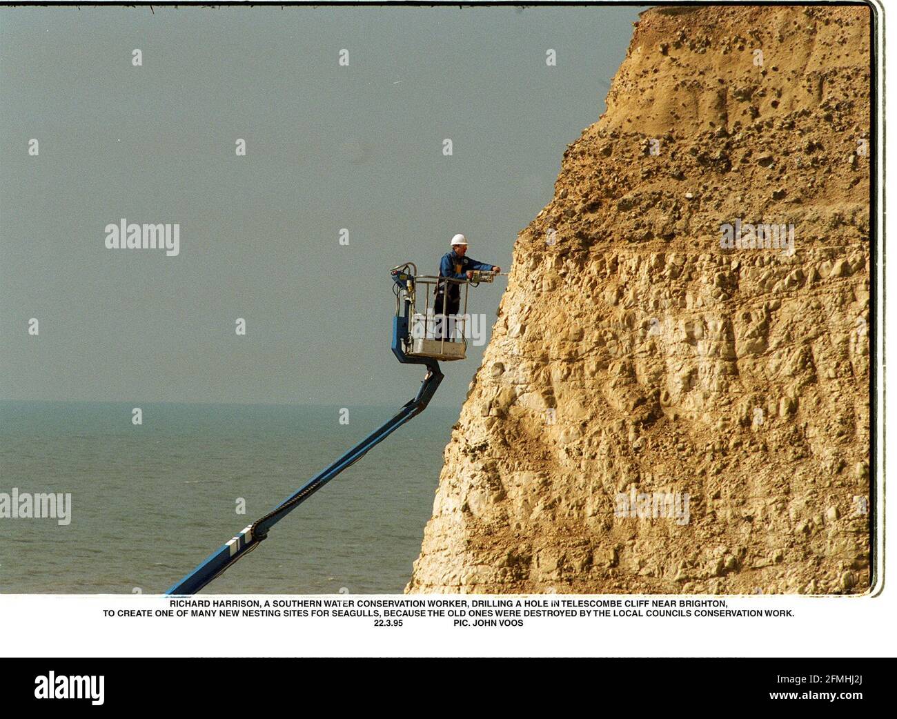 Un ufficiale di conservazione dell'acqua del sud che disfora fuori i luoghi di nidificazione per Gabbiani sulle scogliere Telscombe vicino a Brighton Foto Stock