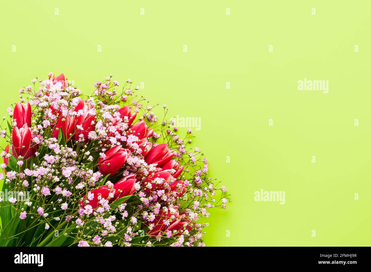 Tulipani rossi e fiori di gypsophila bouquet su sfondo verde, fuoco selettivo. Festa della mamma, concetto di festa di compleanno. Vista dall'alto, spazio di copia per Foto Stock