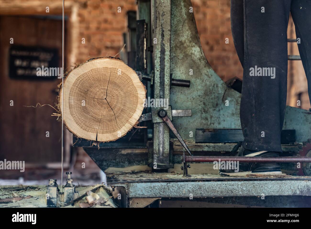 Segheria taglio log processo di fare legno tavole legname e. industria del legno Foto Stock