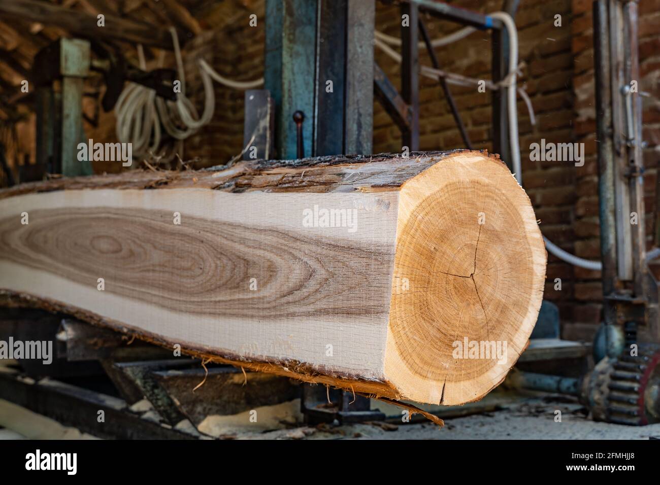 Segheria taglio log processo di fare legno tavole legname e. industria del legno Foto Stock