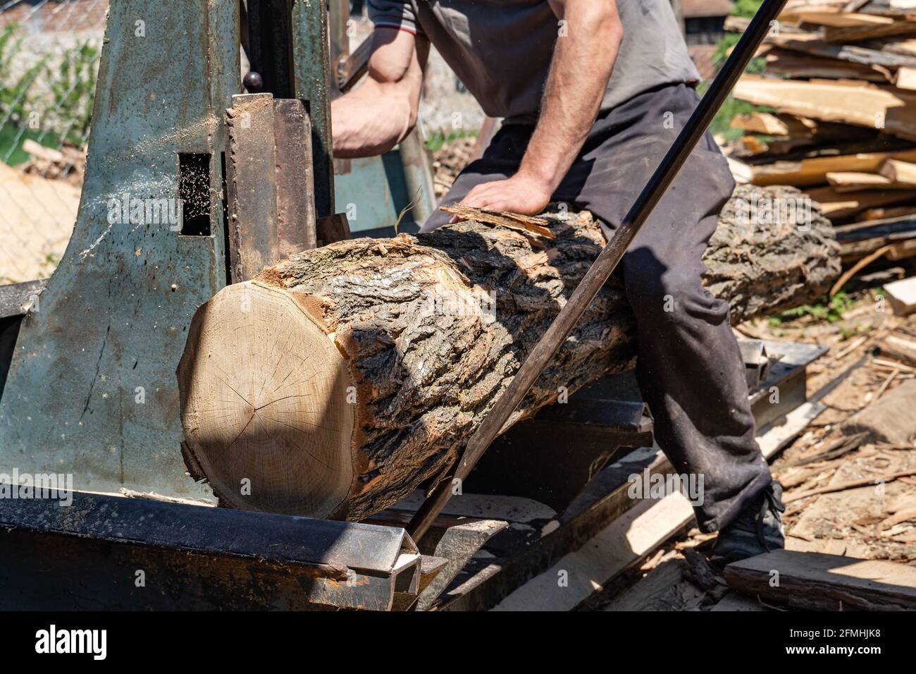Mettendo il log sulla piattaforma mobile a segheria pronto a. tagliare in tavole industria segheria tavole legno legname e legname Foto Stock