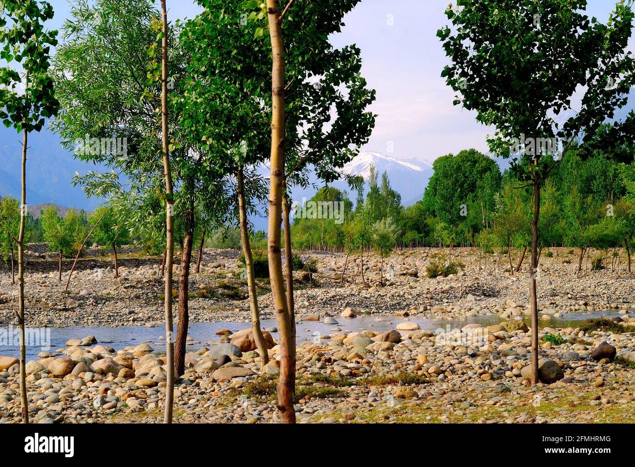 Vista panoramica sul fiume Lidder o Liddar, si trova nella Valle del Kashmir, Jammu e Kashmir, India Foto Stock