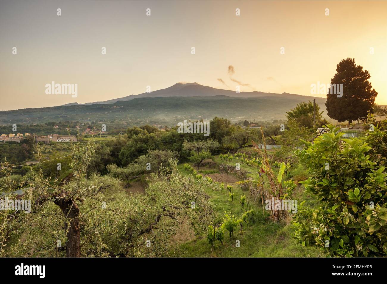 Paesaggio rurale siciliano con eruzione del vulcano Etna al tramonto Sicilia Foto Stock