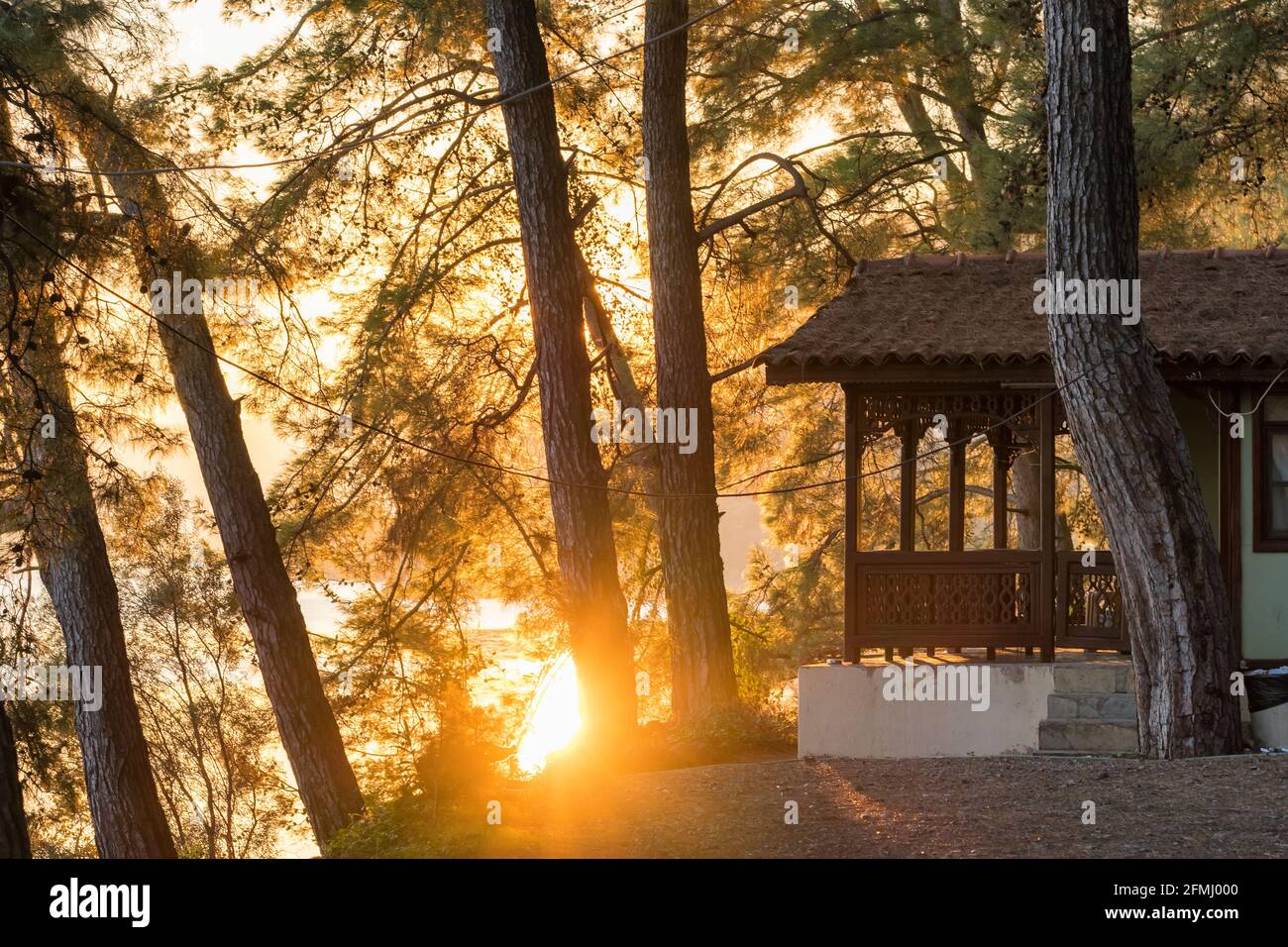 Piccola casa bungalow in legno nella foresta sulla riva del lago all'alba. Foto Stock