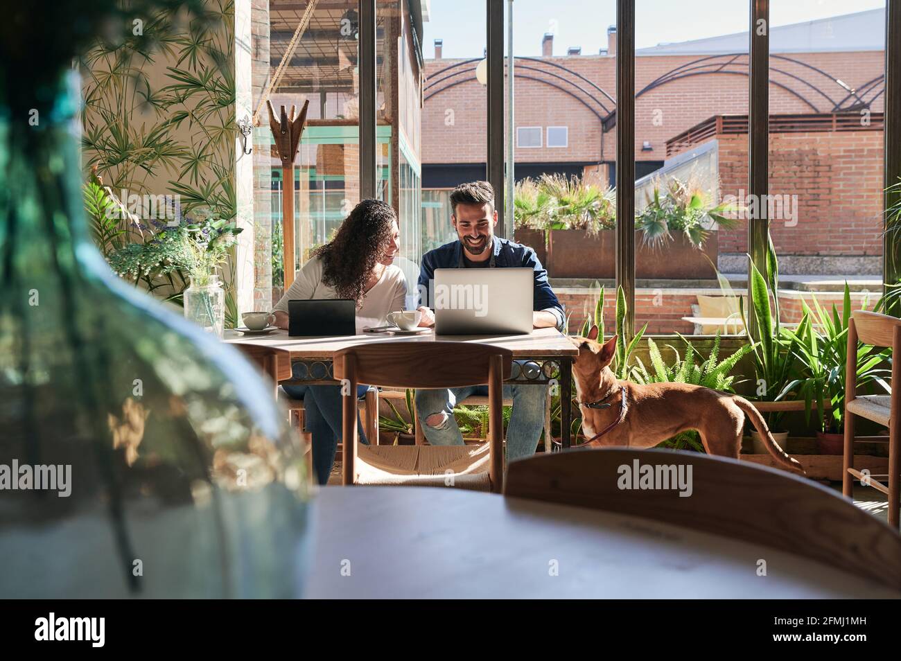 Allegri lavoratori a distanza etnici che interagiscono a tavola con netbook e. tavoletta contro il cane purebred nel ristorante Foto Stock