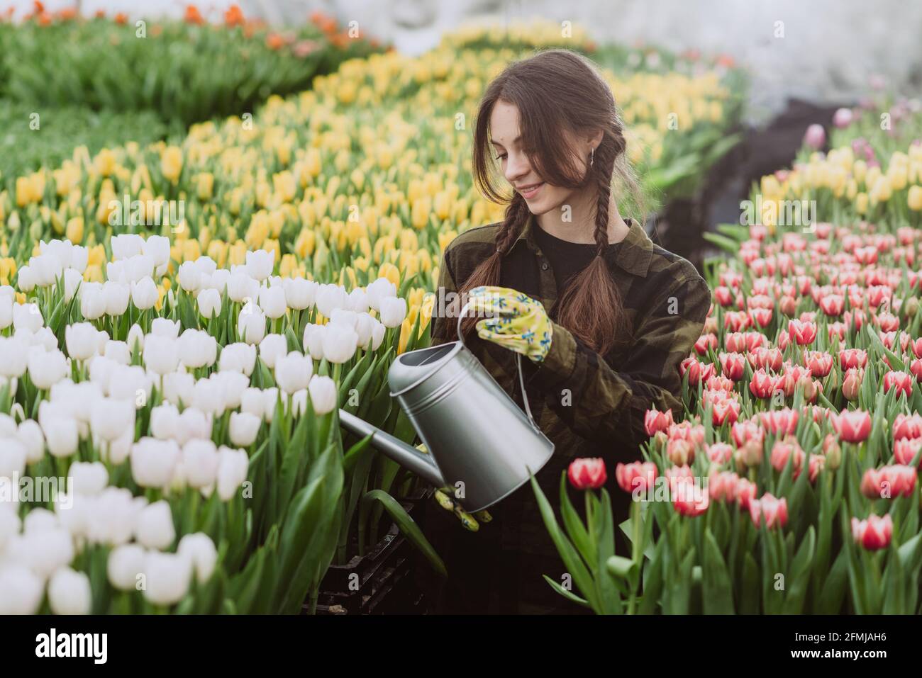 Giovane donna giardiniere in un guanti acque un letto di fiori di tulipani utilizzando un annaffiatoio. Il concetto di hobby di giardinaggio. Messa a fuoco selettiva e sfocata. Artistico Foto Stock