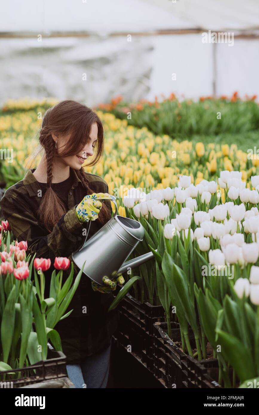 Giovane donna giardiniere in un guanti acque un letto di fiori di tulipani utilizzando un annaffiatoio. Il concetto di hobby di giardinaggio. Messa a fuoco selettiva e sfocata. Artistico Foto Stock