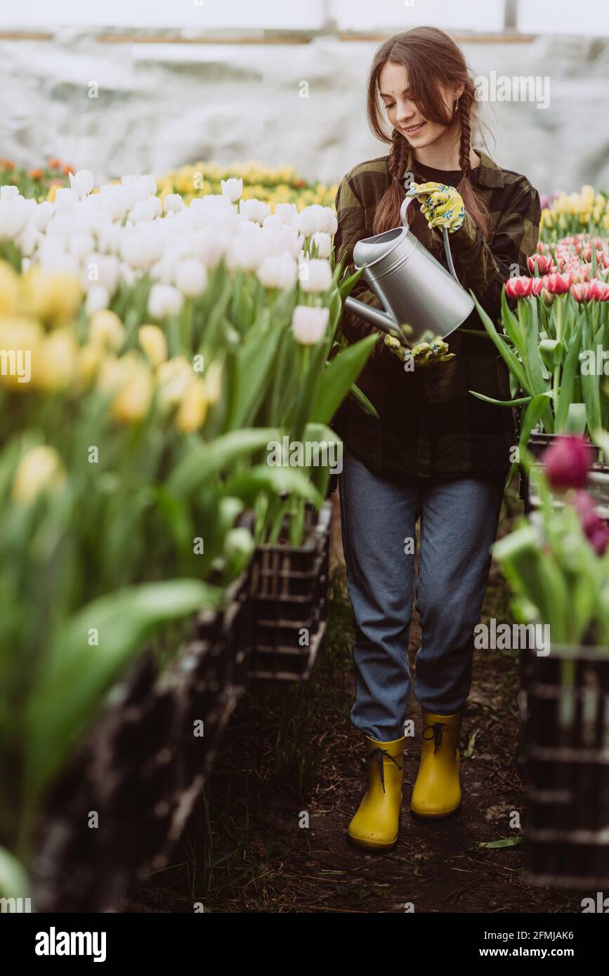 Giovane donna giardiniere in un guanti acque un letto di fiori di tulipani utilizzando un annaffiatoio. Il concetto di hobby di giardinaggio. Messa a fuoco selettiva e sfocata. Artistico Foto Stock