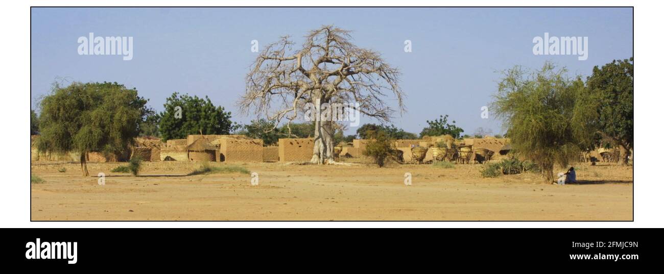 Africa grande albero il Bayobab sovrasta la campagna arida del Burkina Faso. pic David Sandison 20/12/2002 Foto Stock