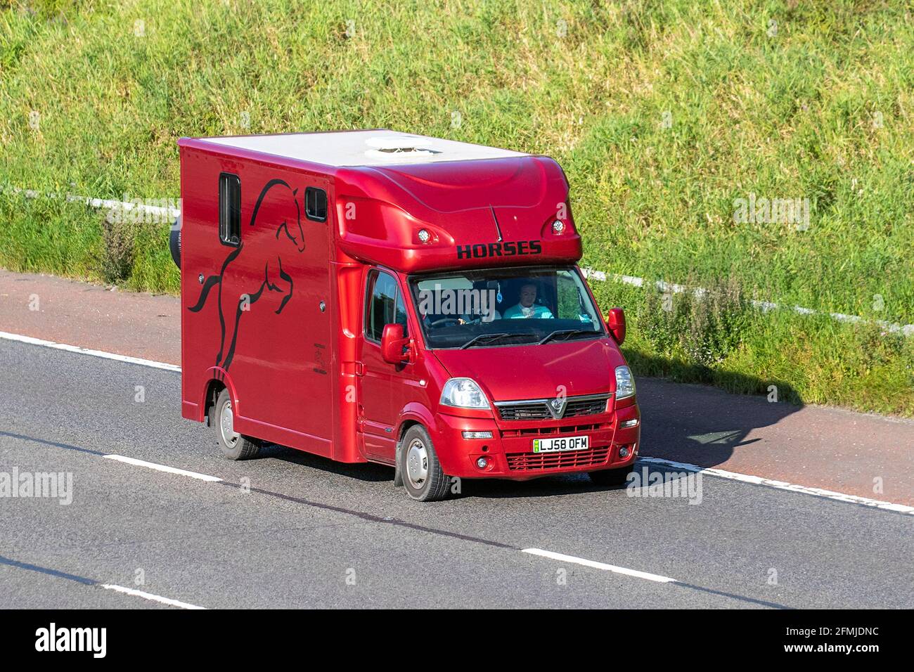 2008 Red Vauxhall Movano 3500 CDTI LWB S-A; van crine; trasporto di animali equini costruito in pulmann che viaggia sull'autostrada M6, Lancashire, UK Foto Stock
