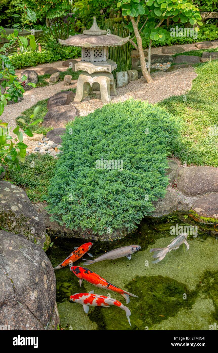 Stagno di Koi nel giardino del tempio di Hase-dera a Kamakura, Kanagawa, Giappone Foto Stock