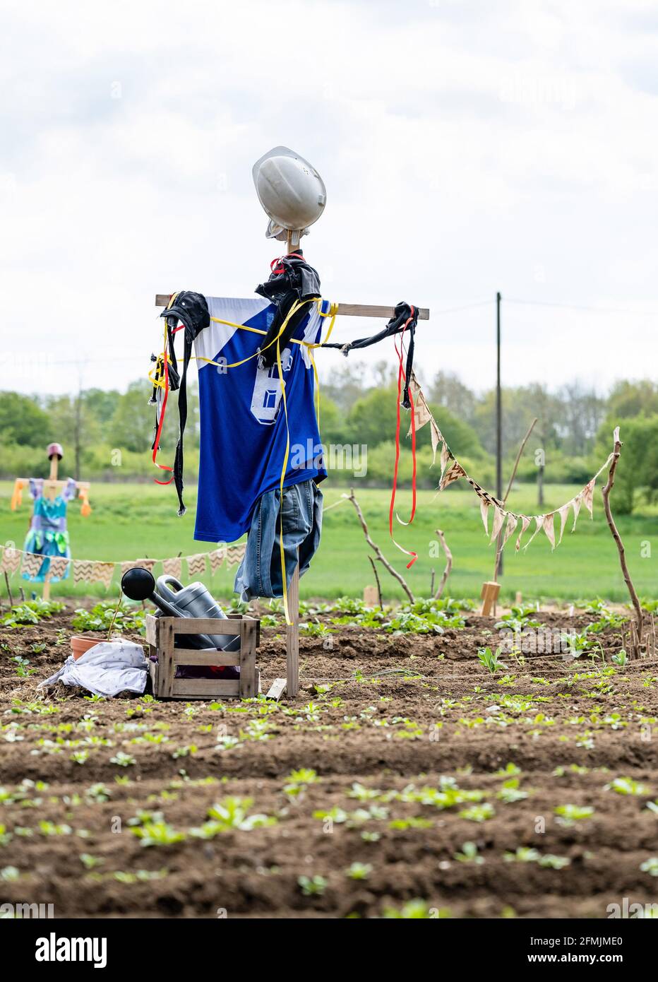 Uno scarrecrow che indossa una maglia sportiva blu e un casco da cantiere si trova in una toppa vegetale fresata di fresco. Foto Stock