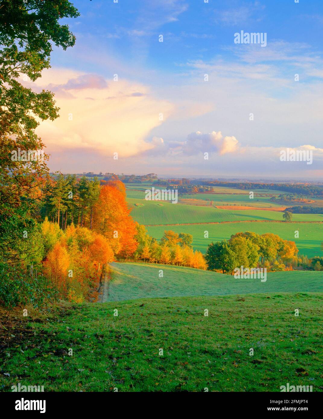 Regno Unito, Inghilterra, Cheshire, gelido paesaggio autunnale da Primrose Hill Foto Stock