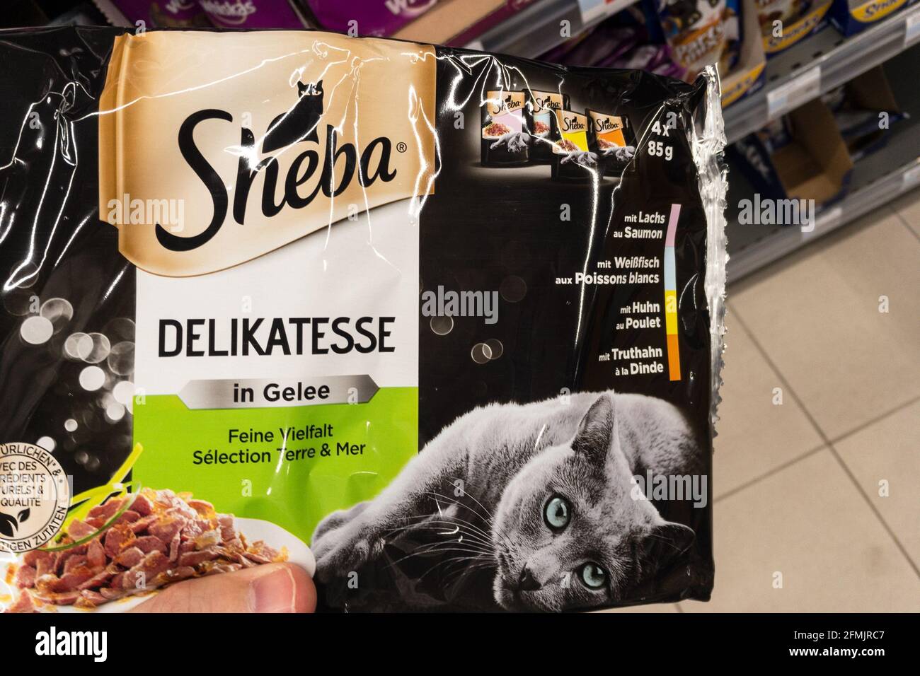Immagine di un pacchetto con il logo di Sheba in esposizione per la vendita a Belgrado, serbia, Sheba è un marchio americano di mangime per gatti, specialmente cibo umido, cann Foto Stock
