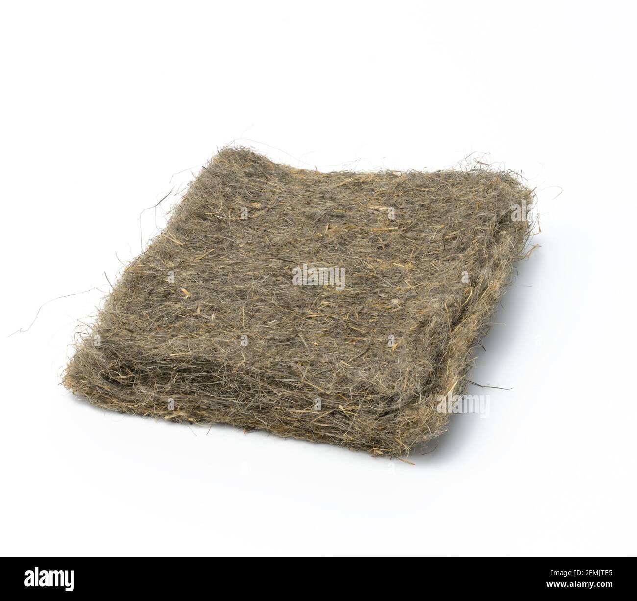 tappetini in lino per la crescita di micrograni isolati su sfondo bianco, primo piano Foto Stock