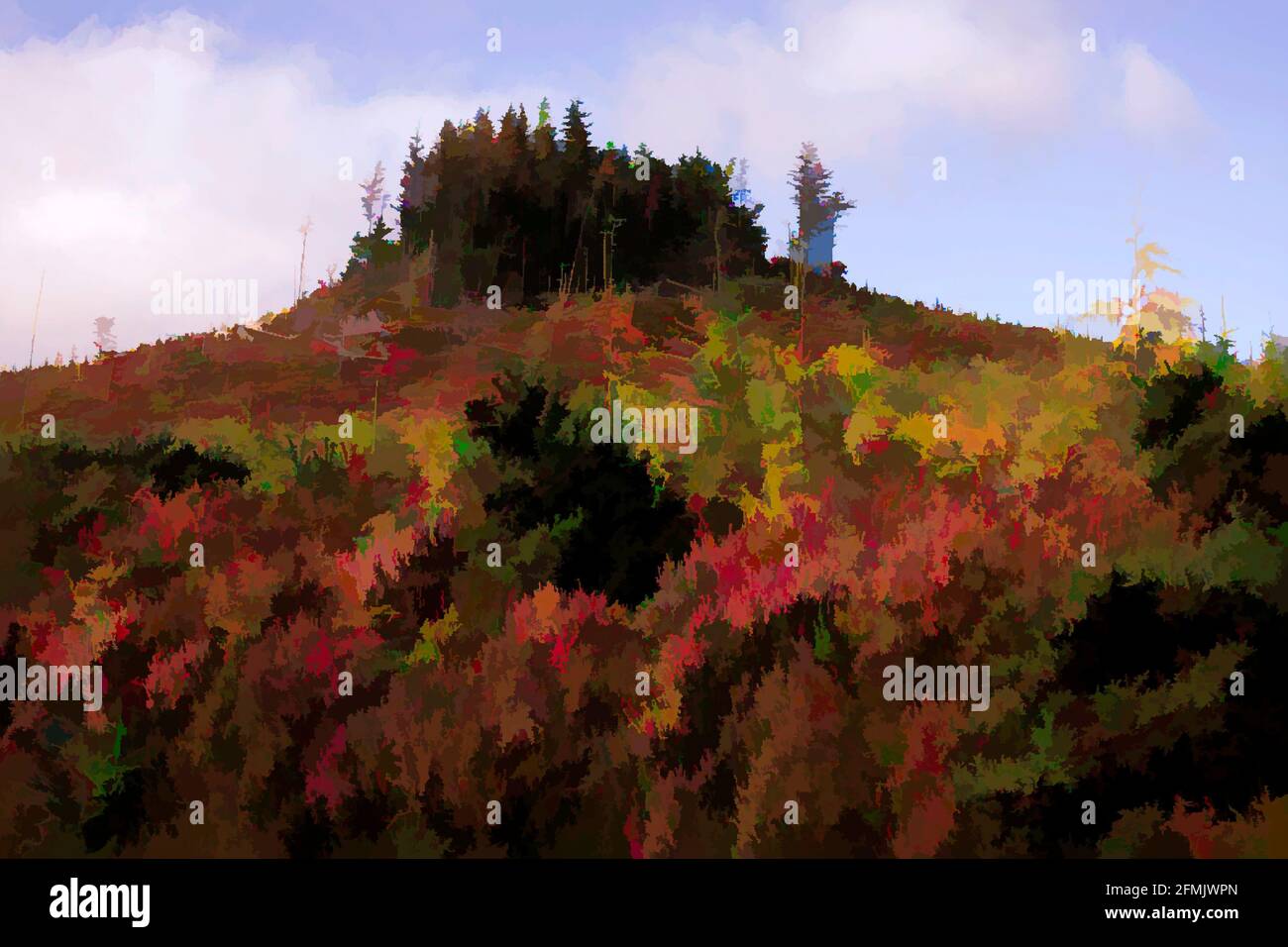 Immagine autunnale del grumo di alberi sulla cima della collina. Foto Stock