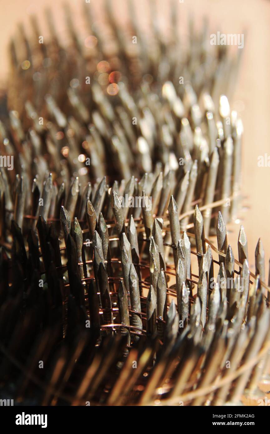 Chiodi a spirale per coperture in acciaio inox, collati a filo Foto Stock
