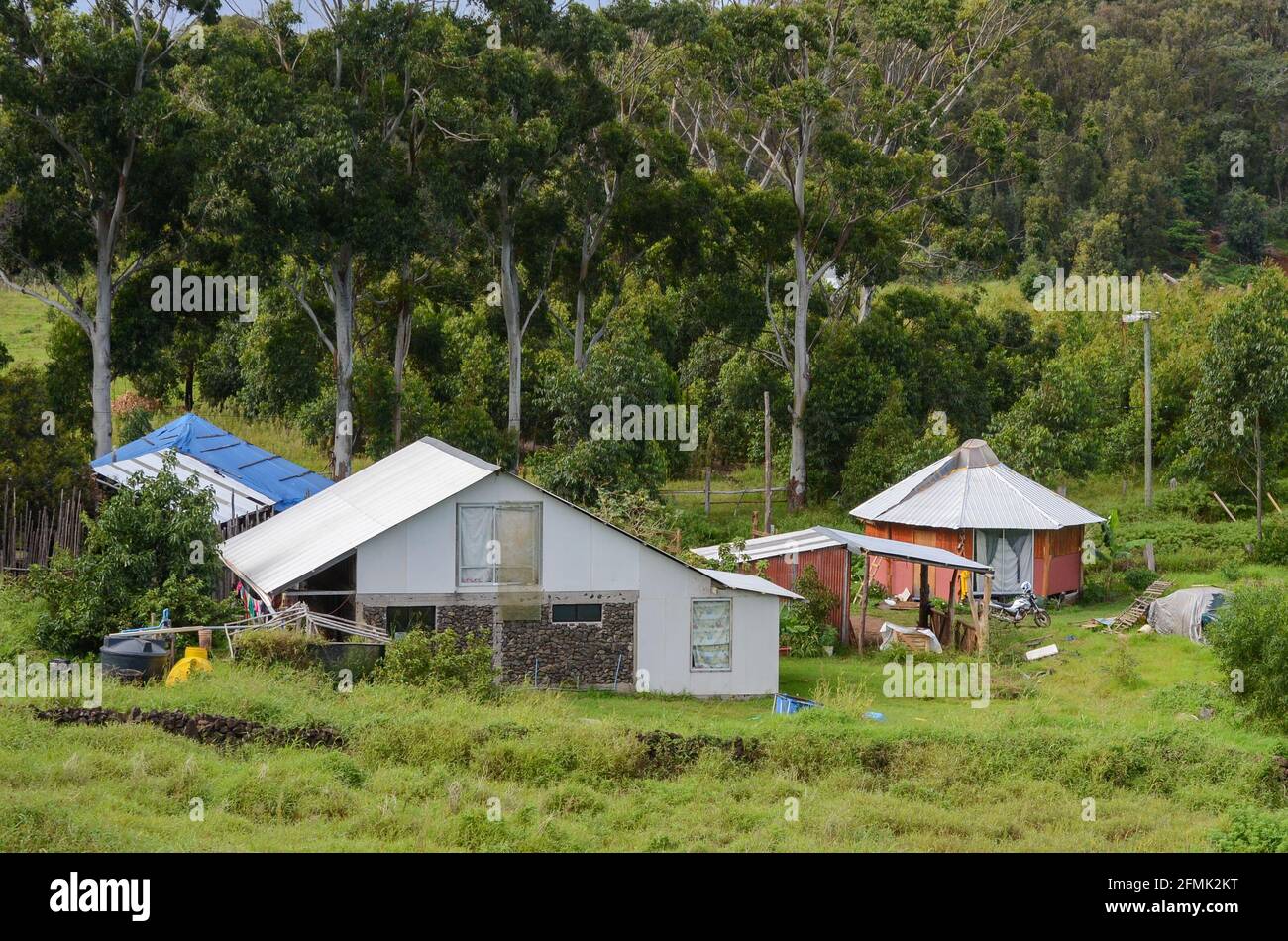 Alcune case vicino ad alcuni alberi alla periferia di Hanga Roa, Isola di Pasqua Foto Stock