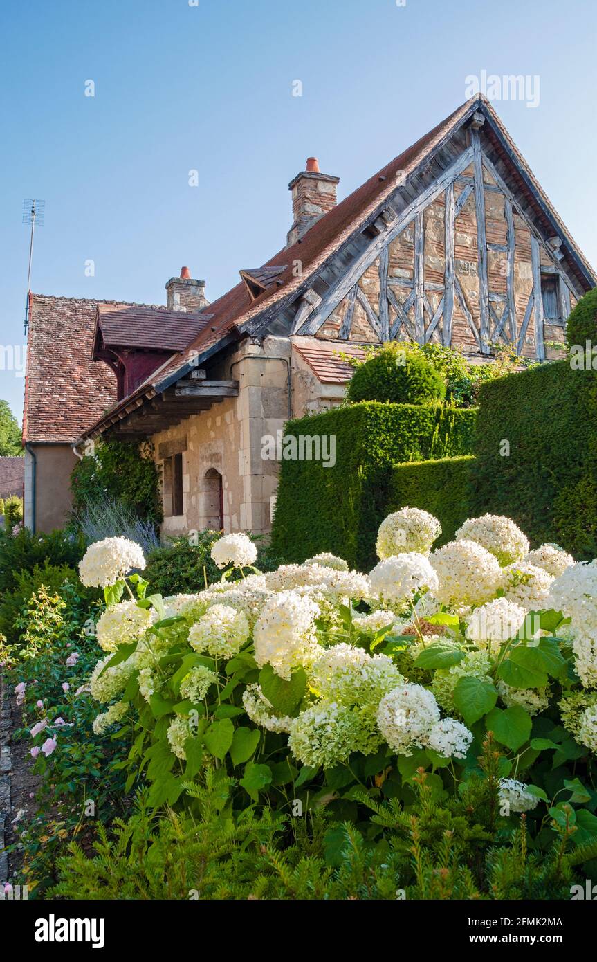 Vecchia casa in pietra e fiori bianchi (Hydrangea) nel pittoresco villaggio di Apremont-sur-Allier, elencato come uno dei più bei villaggi di Franc Foto Stock