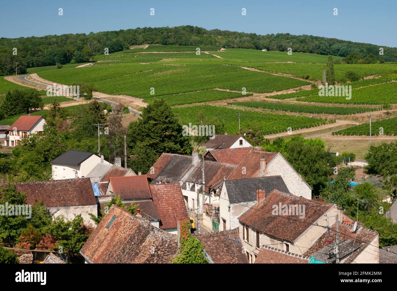 Vigneti Sancerre e villaggio di Menetreol-sous-Sancerre, Cher (18), regione Centre-Val de Loire, Francia Foto Stock