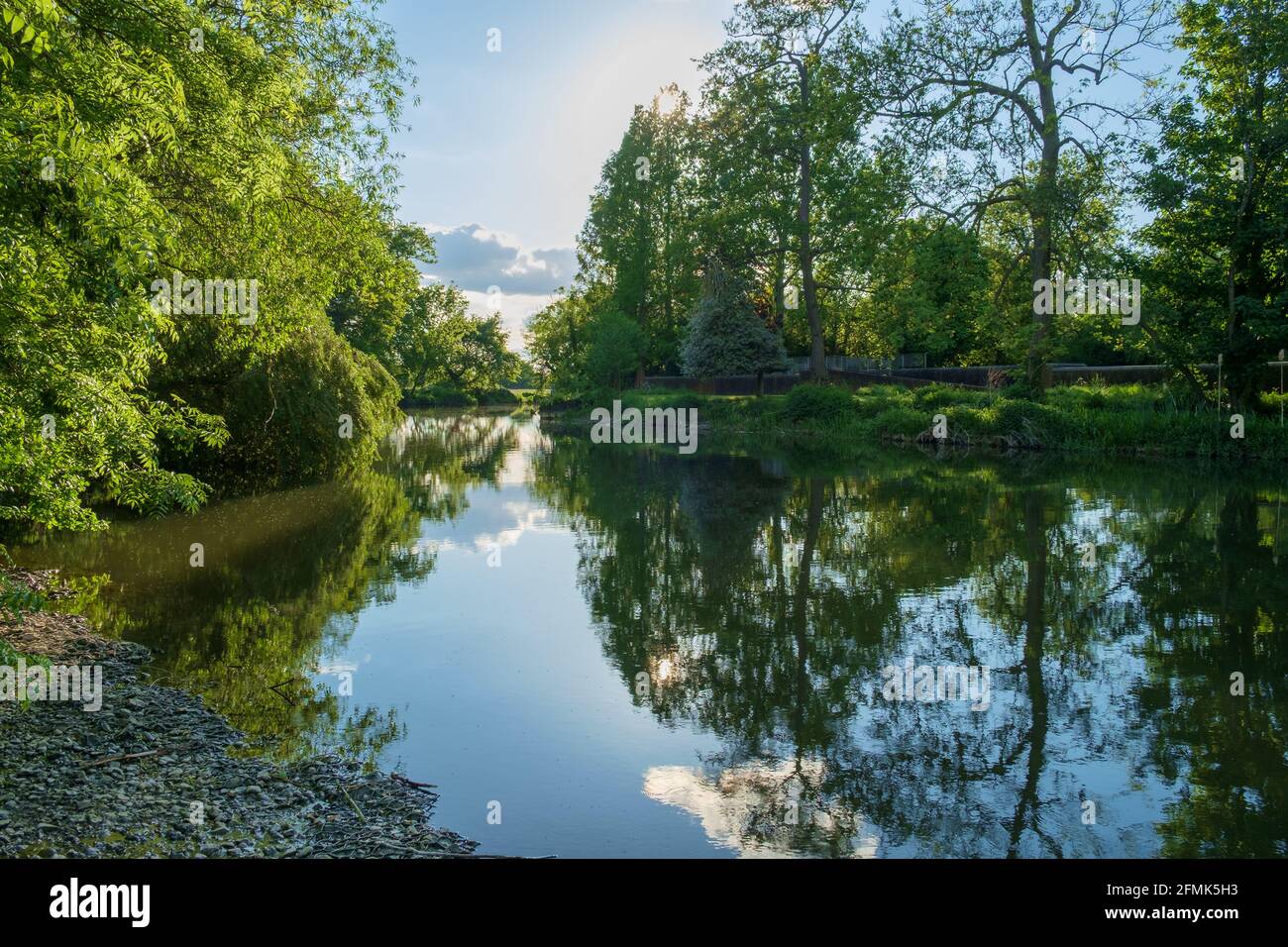 The River Mole, vicino a Esher, Surrey, Inghilterra, Regno Unito. Il fiume alberato e l'acqua ancora creano una scena tranquilla. Foto Stock