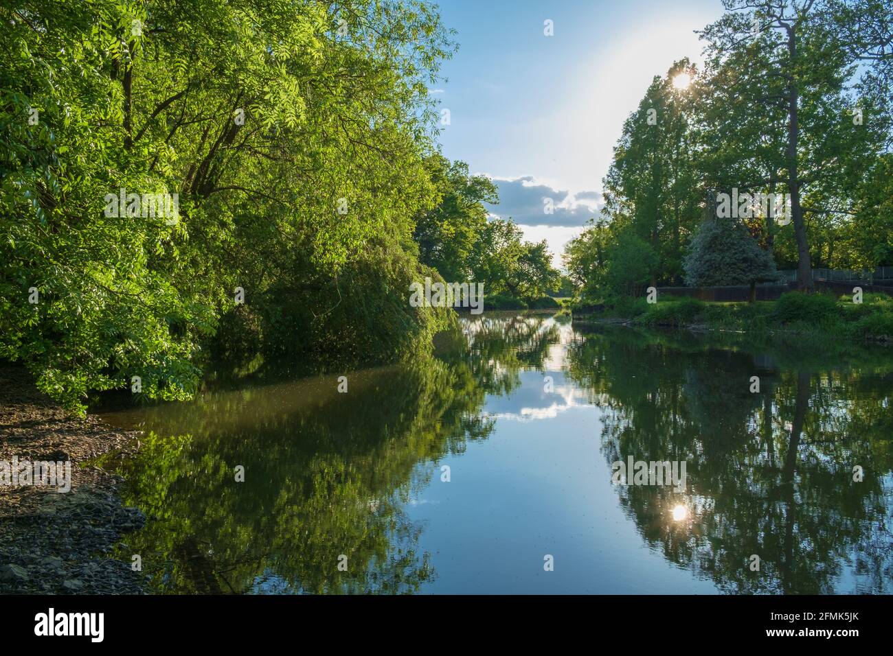 The River Mole, vicino a Esher, Surrey, Inghilterra, Regno Unito. Il fiume alberato e l'acqua ancora creano una scena tranquilla. Foto Stock