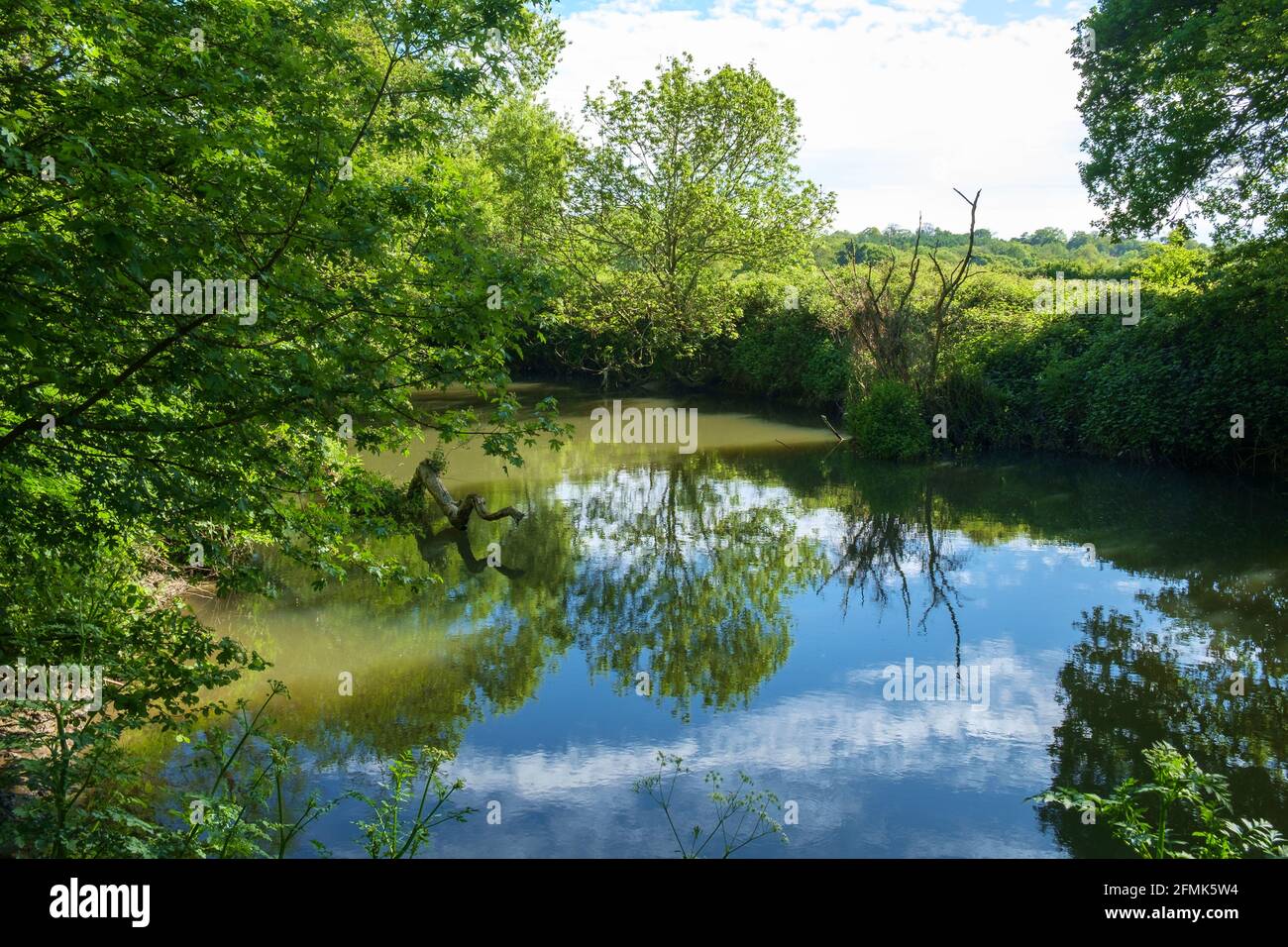 The River Mole, vicino a Esher, Surrey, Inghilterra, Regno Unito. Il fiume alberato e l'acqua ancora creano una scena tranquilla. Foto Stock