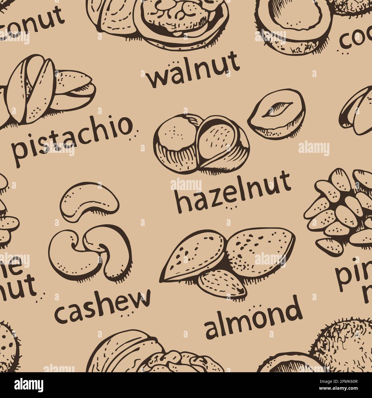 NUTS Set vettoriale modello senza giunture, vari NUTS sfondo disegnato a mano Illustrazione Vettoriale
