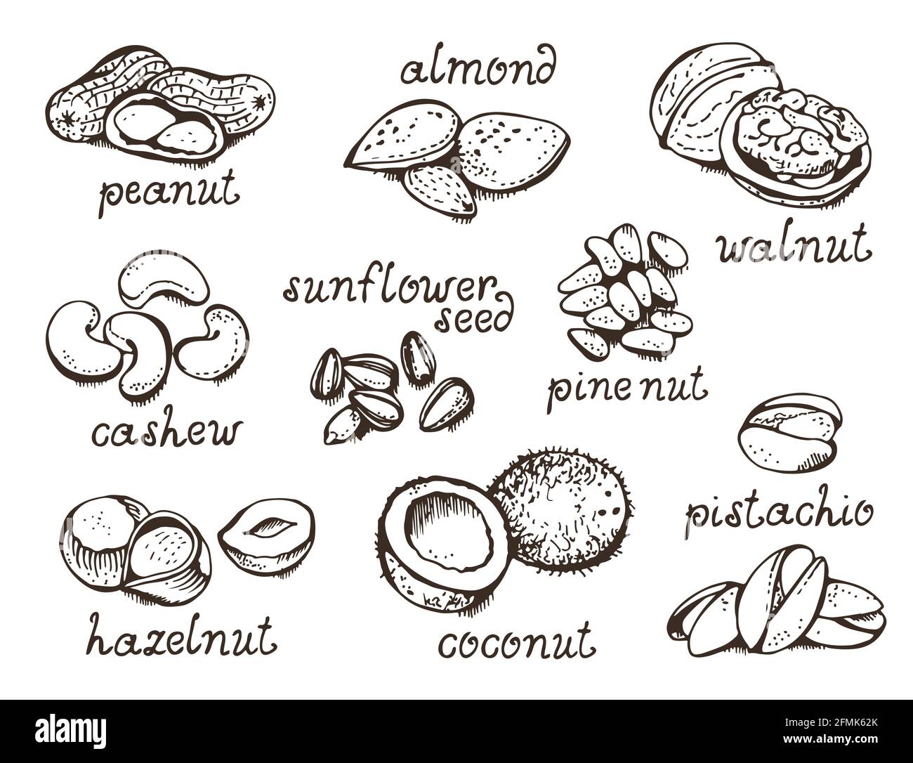 Set di dadi vettoriali, vari dadi disegnati a mano, isolati su sfondo bianco Illustrazione Vettoriale