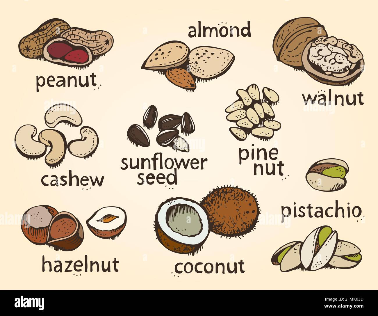 Set di dadi vettoriali, vari dadi disegnati a mano, isolati su sfondo bianco Illustrazione Vettoriale