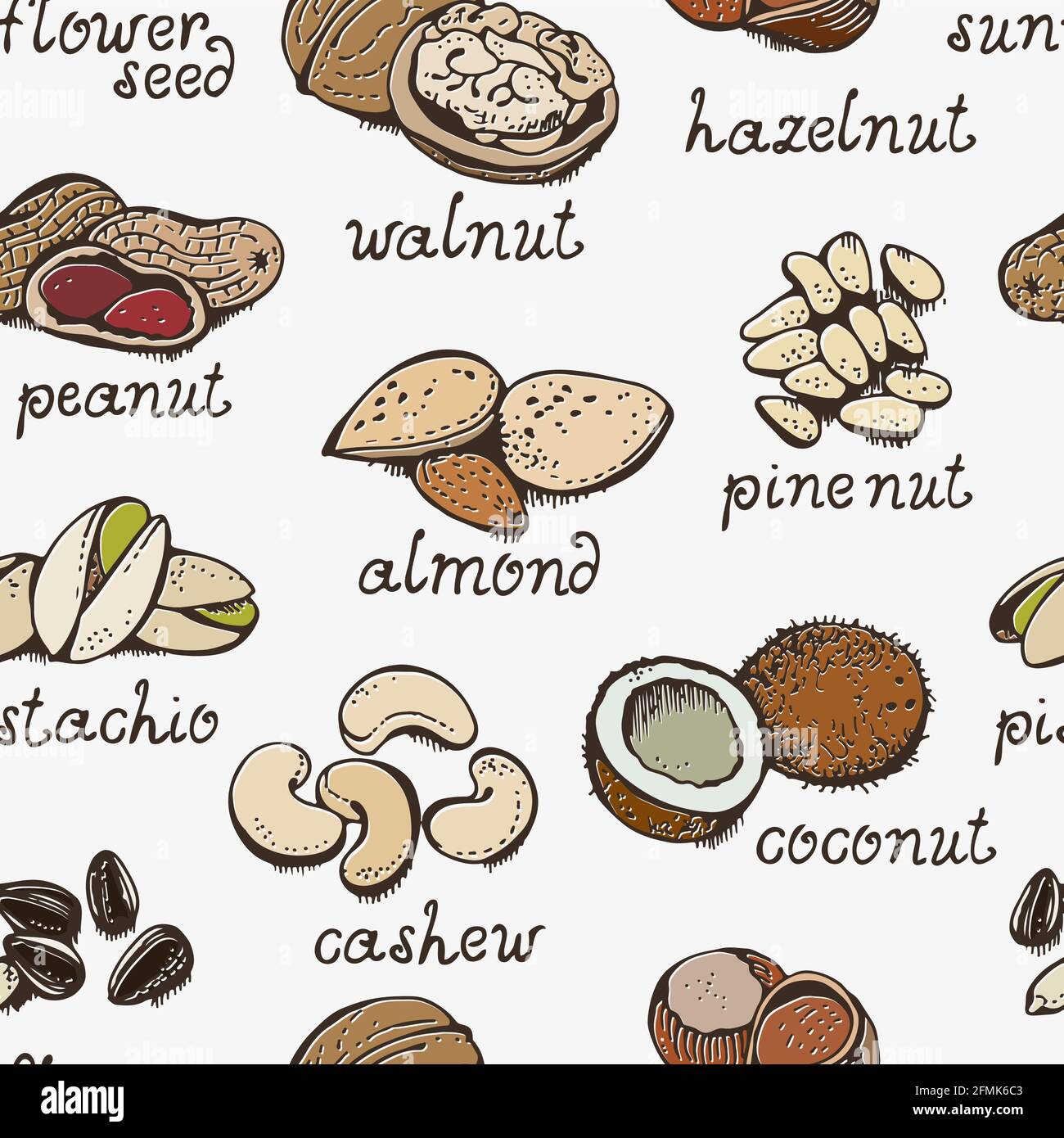 NUTS Set vettoriale modello senza giunture, vari NUTS sfondo disegnato a mano Illustrazione Vettoriale