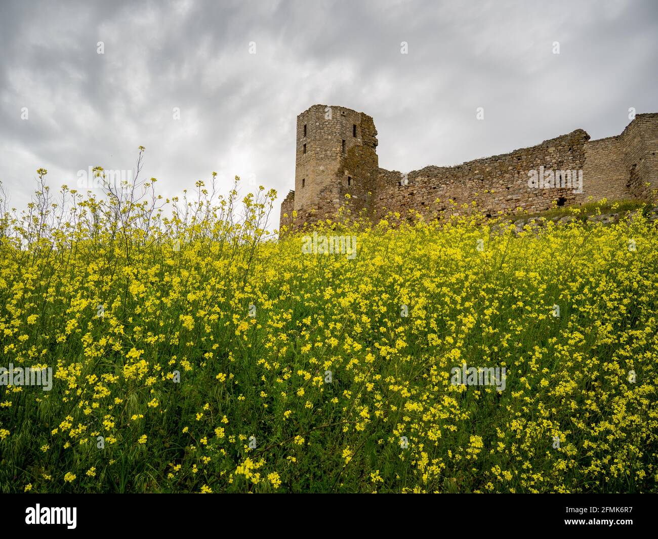 rovine del vecchio castello medievale, enisala, vicino al lago di razim-sinoie, dobrogea regione, romania Foto Stock