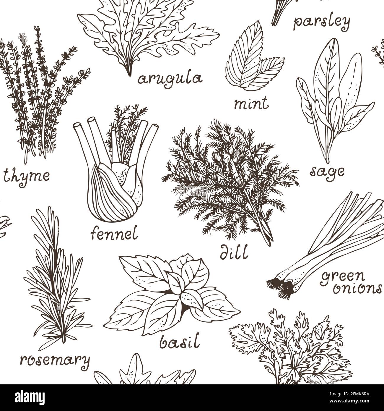 Erbe culinarie modello senza giunture, set di erbe e spezie disegnate a mano Illustrazione Vettoriale