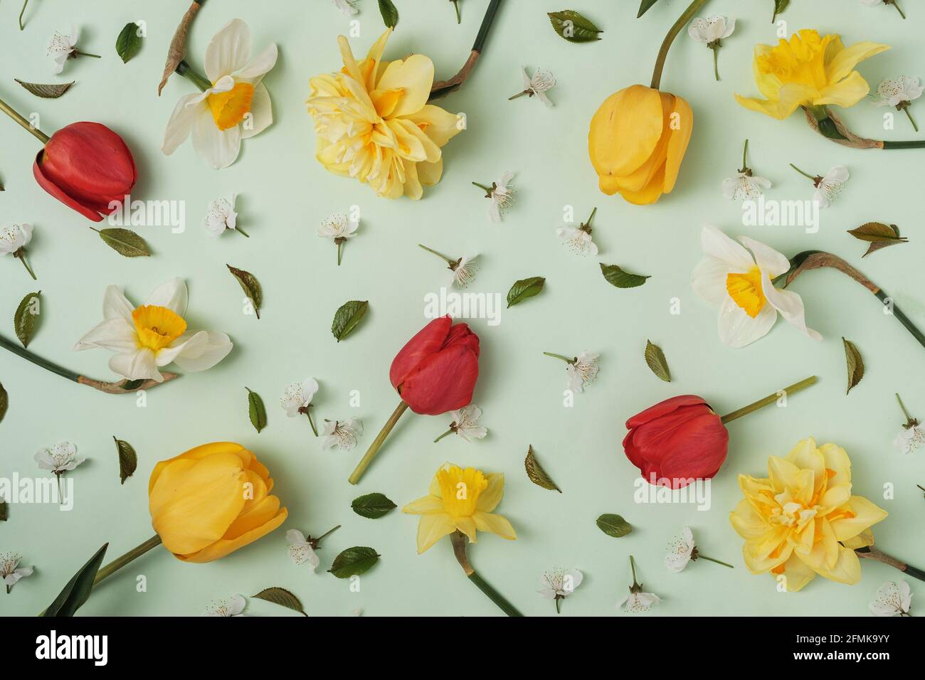 Molti fiori di primavera diversi su sfondo verde. Tulipani, narcisi e altri fiori grandi e piccoli. Vacanze e congratulazioni concetto. Foto Stock