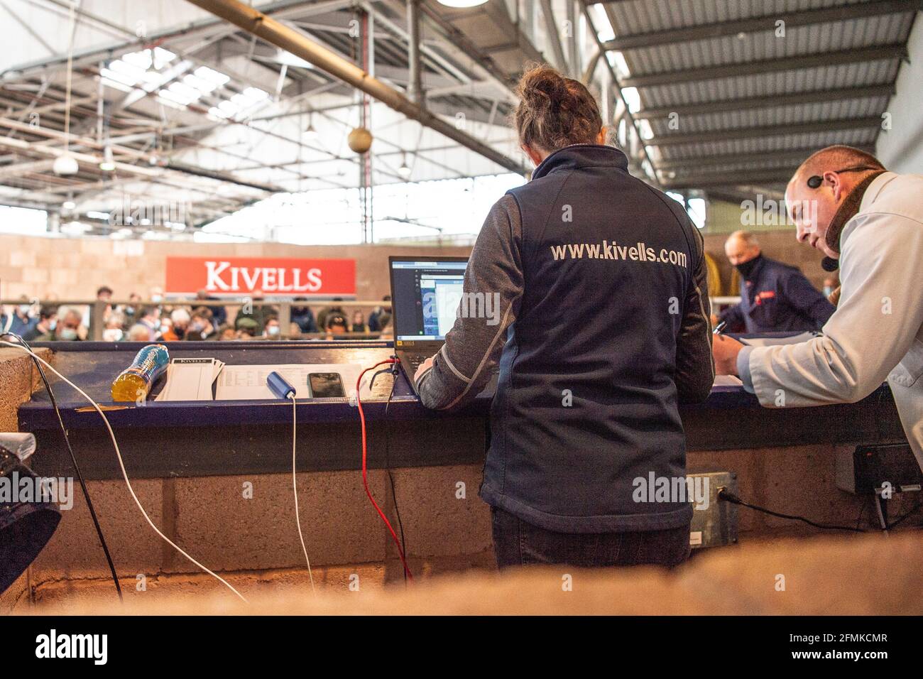 Auctioneer che vende pecore al mercato di bestiame di Exeter UK Foto Stock
