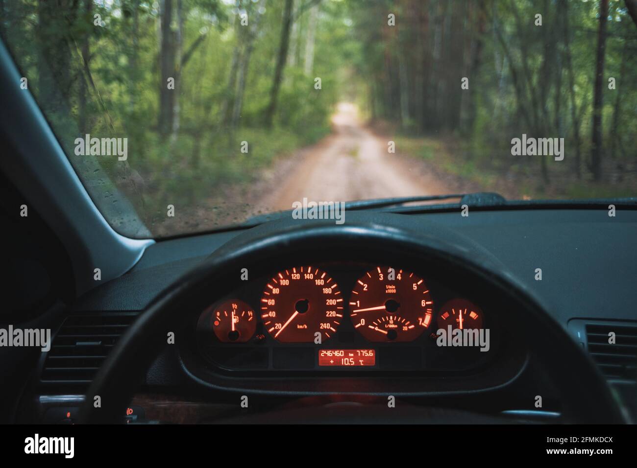 Viaggio su strada all'interno della foresta. Punto di vista del conducente con quadro strumenti dal design classico Foto Stock