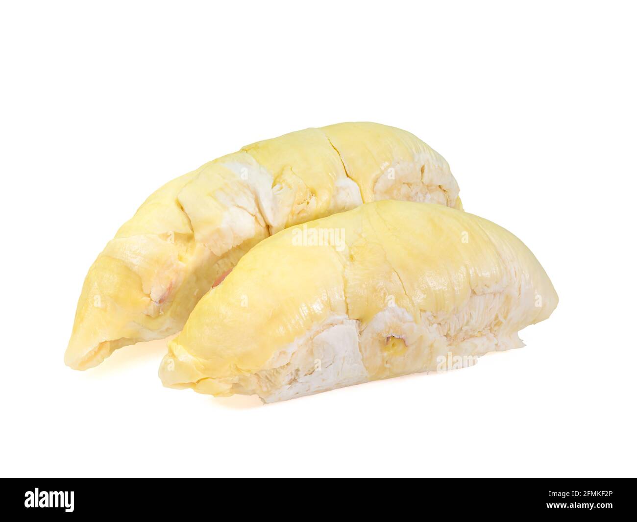 Durian giallo, un primo piano di cibo tropicale tailandese di frutta maleodorante isolato su sfondo bianco. Foto Stock