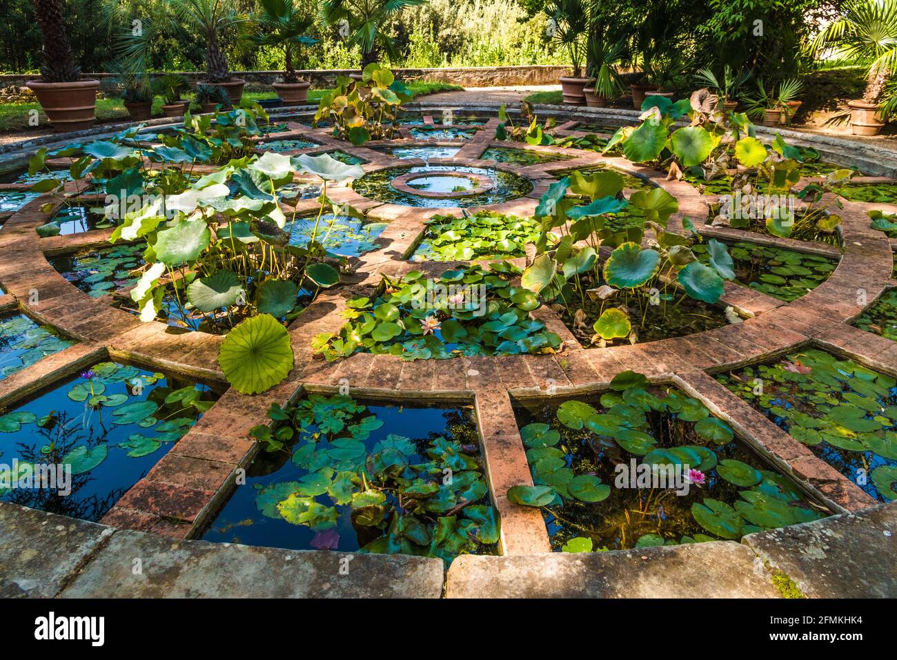 L'Acquario, un grande stagno circolare diviso in 48 celle, ciascuna contenente diverse piante acquatiche nel Giardino Botanico superiore... Foto Stock