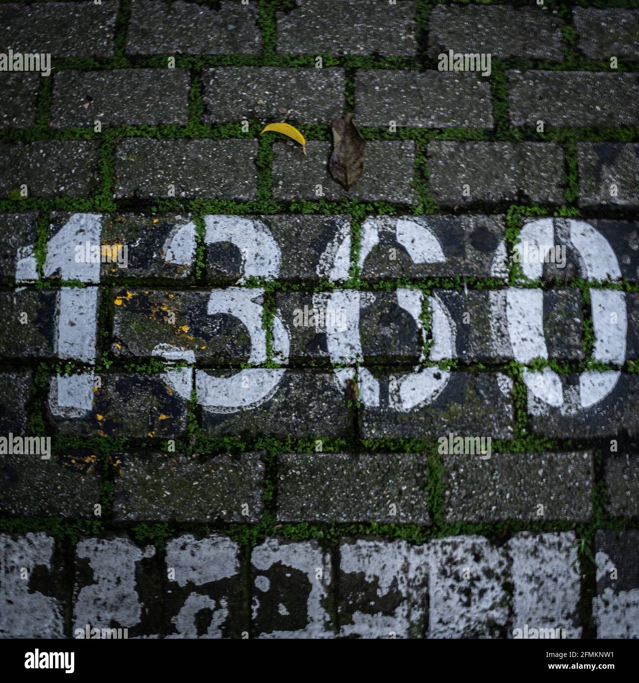 Vista dall'alto del numero 1360 scritto sulla pavimentata strada con vernice bianca Foto Stock