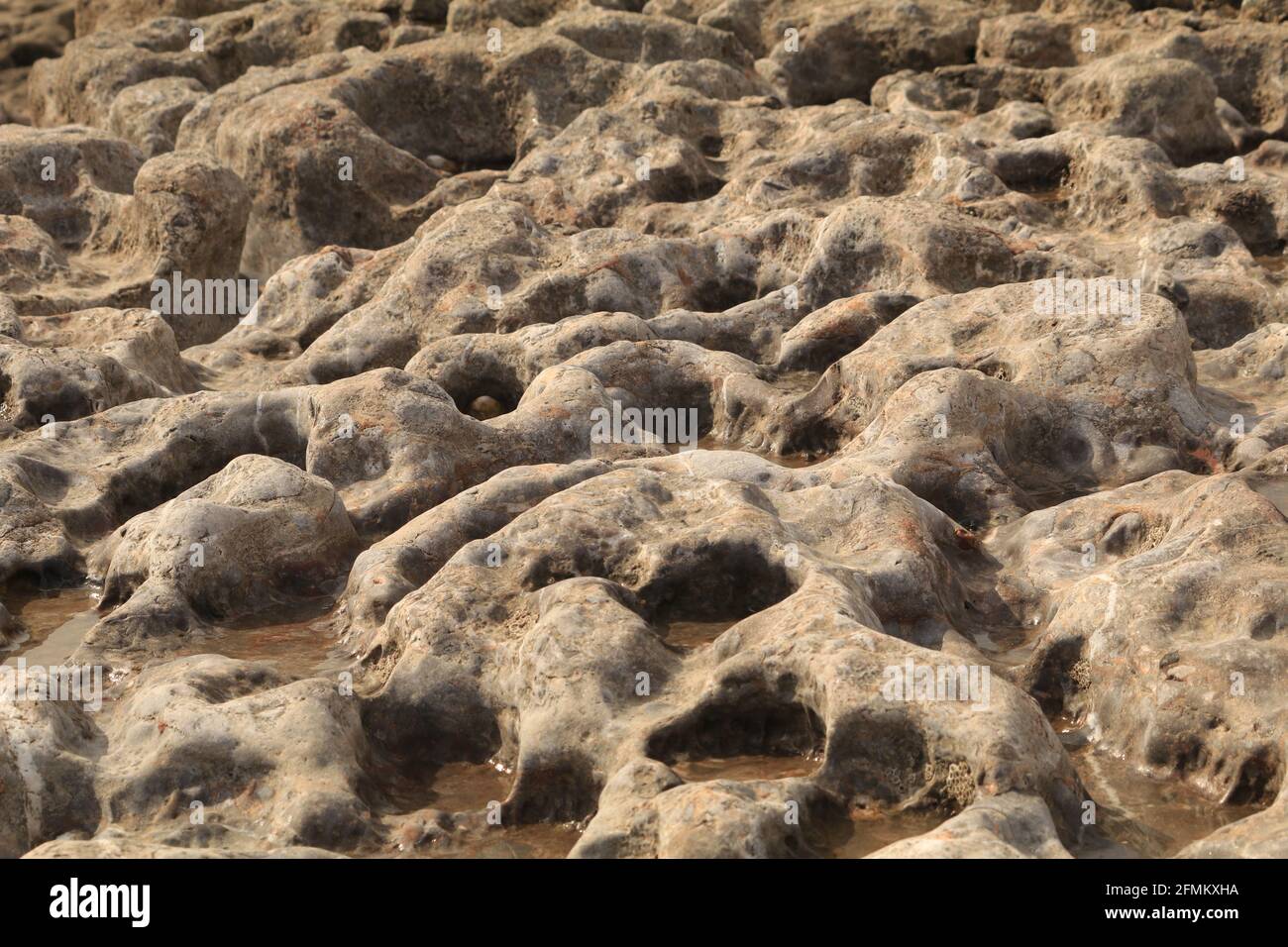 Buche in rocce piene di acqua di mare, Porthcawl, Galles del Sud, Regno Unito Foto Stock