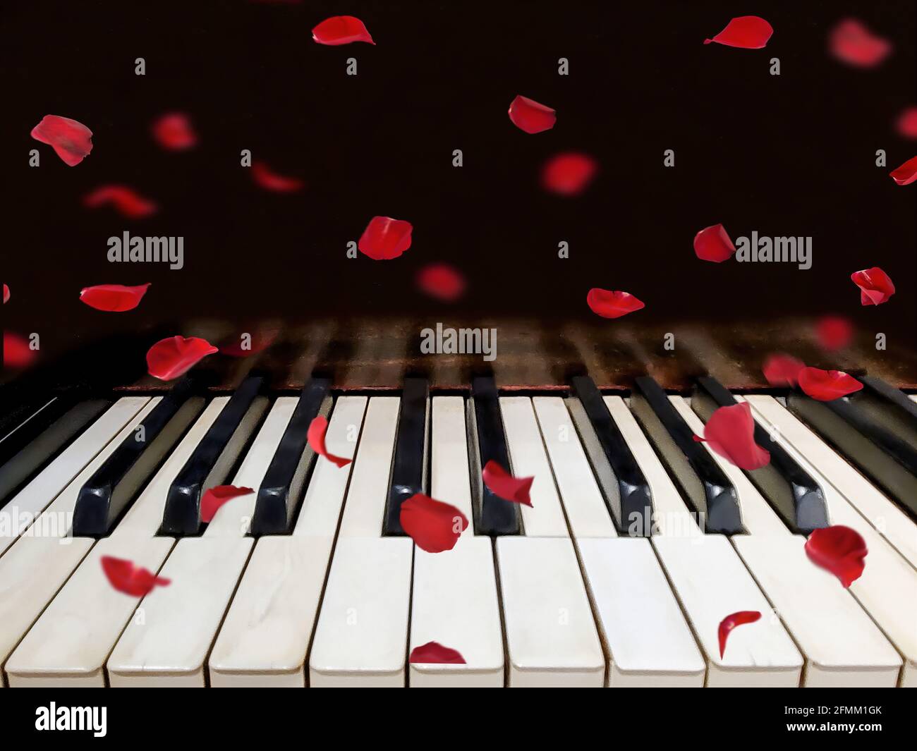 petali rossi di rosa cadenti su vecchie chiavi di piano grugnose Foto Stock