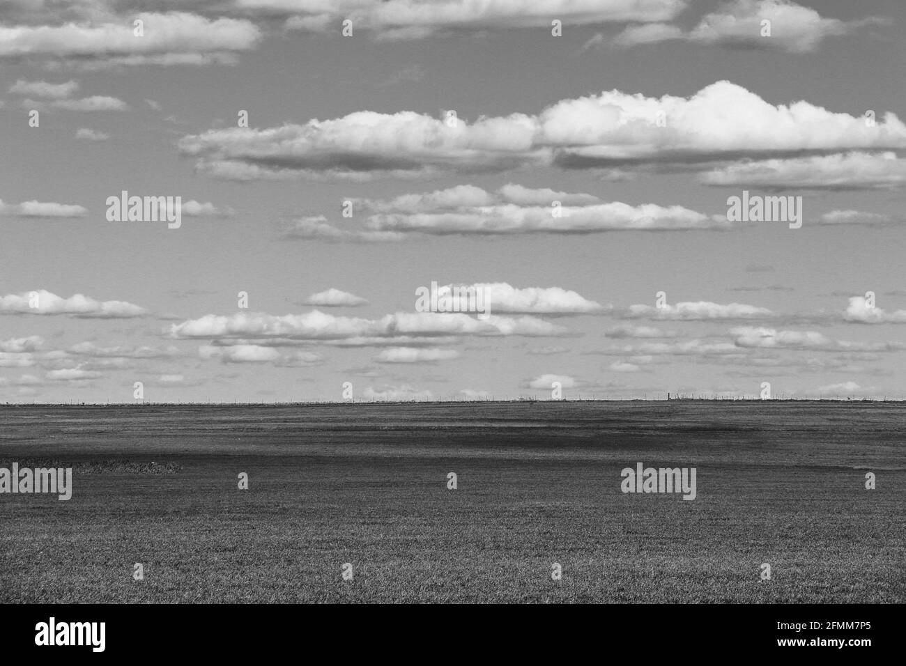 campo bianco e nero e cielo nuvoloso con alto vintage il filtro di contrasto si applica come un halloween o abbandonato desolato desertato scena Foto Stock
